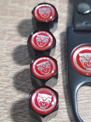 Tapones Válvula Jaguar + Llavero