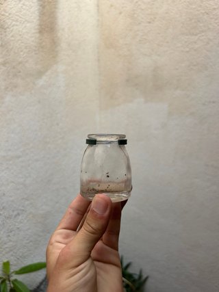 Bebedero para jaula