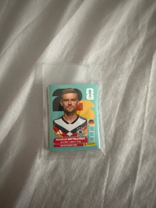 Lote 23 cartas panini