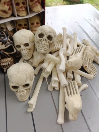 Lote Halloween: Calaveras y Huesos