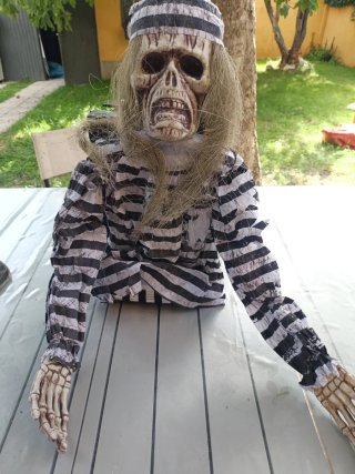Lote Halloween: Calaveras y Huesos