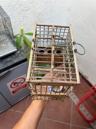 Jaula para pájaros de madera y metal
