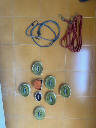 Lote de cinchas de sujeción