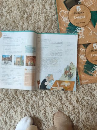 Libros lengua Anaya 5 primaria