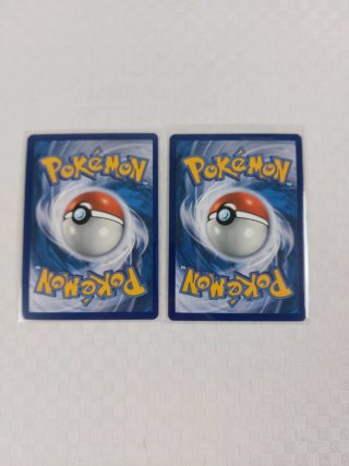 Pokèmon Destino di Paldea Shiny Lotto