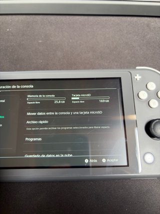 Nintendo Switch Lite Gris
