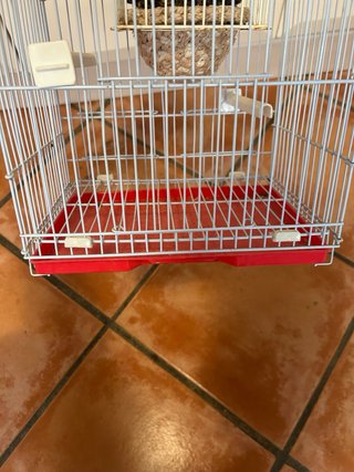 Jaula para pájaros