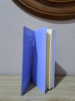 Il tailleur grigio romanzo