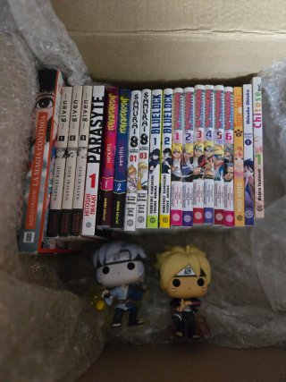 Lote de mangas en español