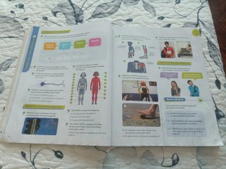 Ciencias da naturaleza, 6 Primaria, Proxecto Co...