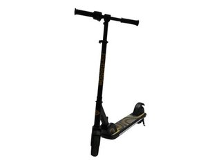 Patinete Eléctrico FanttikRide C9