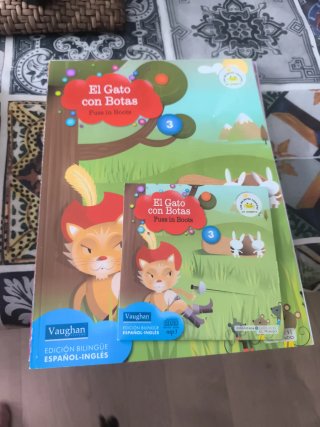 Lote 10 Libros Infantiles Vaughan con CDs