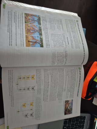 Biología y Geología, 4 Secundaria