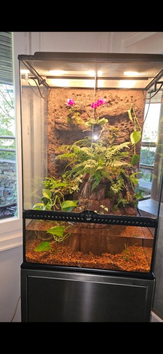 Terrario Exo Terra 60x45x90