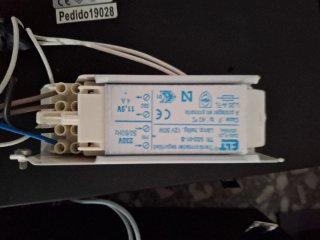 Focos empotrables dobles Iluminación Naco