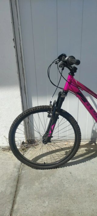 Bicicleta B-pro rosa