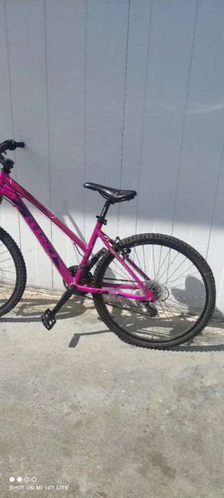 Bicicleta B-pro rosa