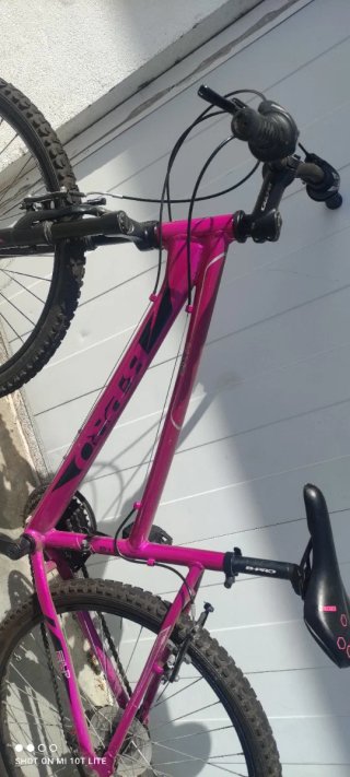 Bicicleta B-pro rosa