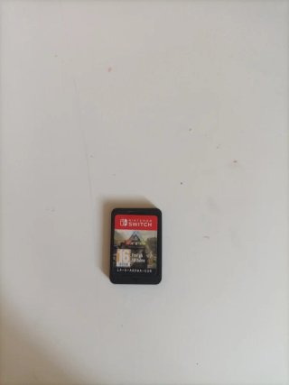 ARK Survival Evolved Nintendo Switch