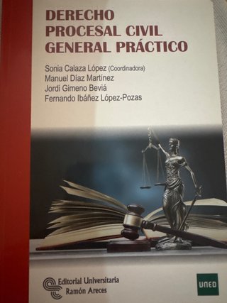 Derecho procesal civil general práctico