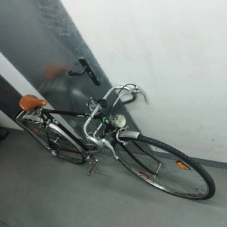 Bicicleta Holandesa Carretera Negra