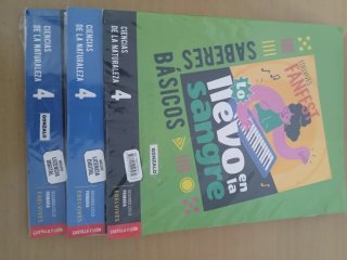 Libros 4° primaria