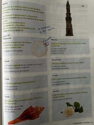 Lengua castellana y literatura 1 Secundaria