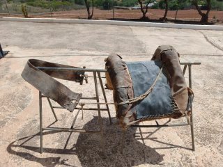 Aperos para caballo y carro