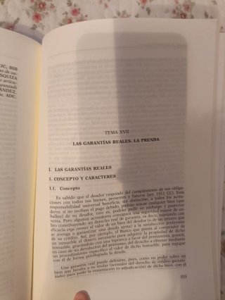 Manual de Derecho civil Derechos reales