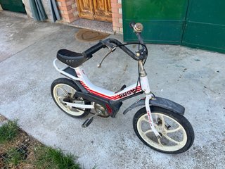 Peripoli Oxford Cross Bici