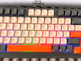 Teclado Mecánico Freewolf M96 Dual Mode