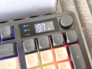 Teclado Mecánico Freewolf M96 Dual Mode