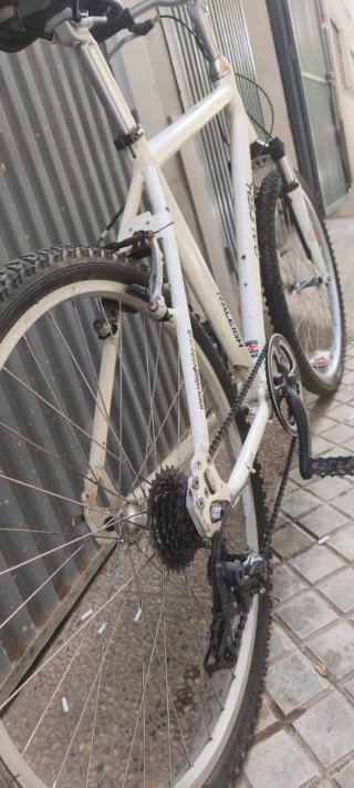 Bicicleta Raleigh Velo Trail