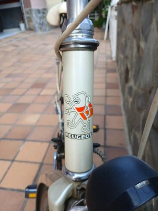Bicicleta Paseo Clásica Peugeot .todo es original,