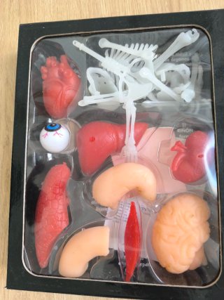 Juego y aprendo el cuerpo humano
