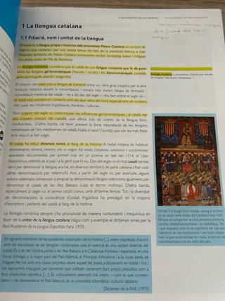Llengua catalana i Literatura 1 BA
