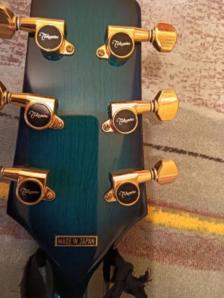 Takamine 391 FP MB Guitarra Acústica