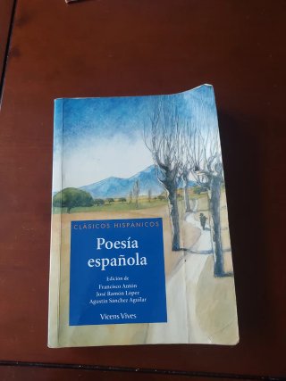 The thirty- Nine steps + Poesía española