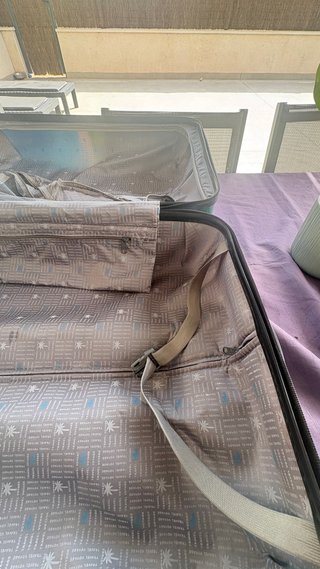 Maleta rígida Saxoline perro con gafas