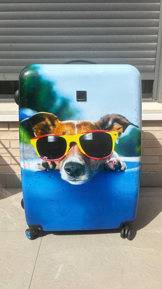 Maleta rígida Saxoline perro con gafas