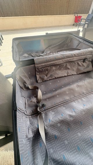Maleta rígida Saxoline perro con gafas