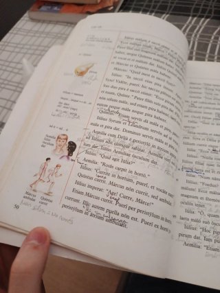 Lingua latina per se illustrata