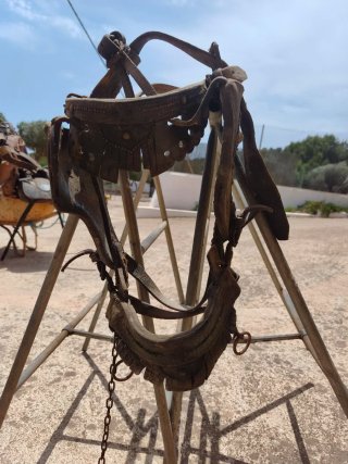 Apero para caballo y carro