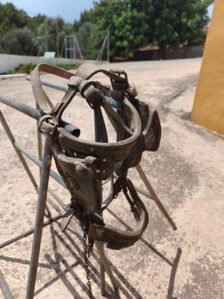 Apero para caballo y carro