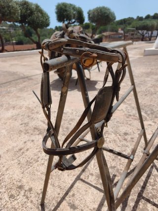 Apero para caballo y carro