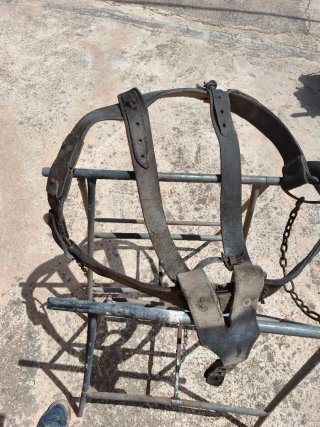 Apero para caballo y carro