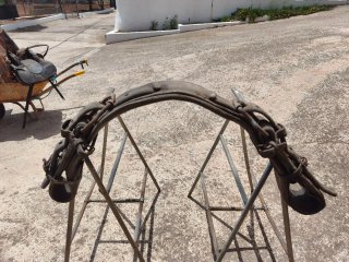 Apero para caballo y carro