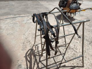 Apero para caballo y carro