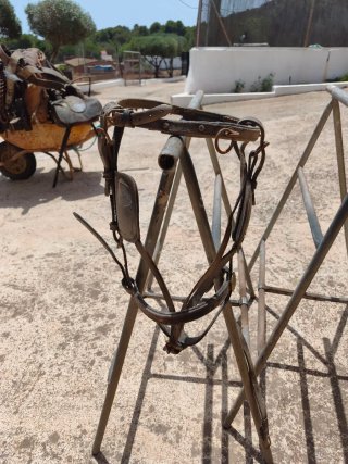Apero para caballo y carro
