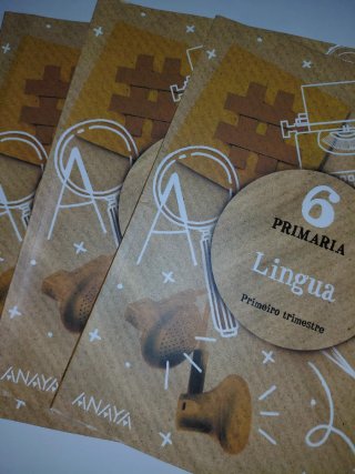 Lingua, 6 Primaria, Operación mundo